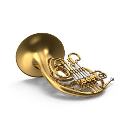 Waldhorn Blasinstrumente